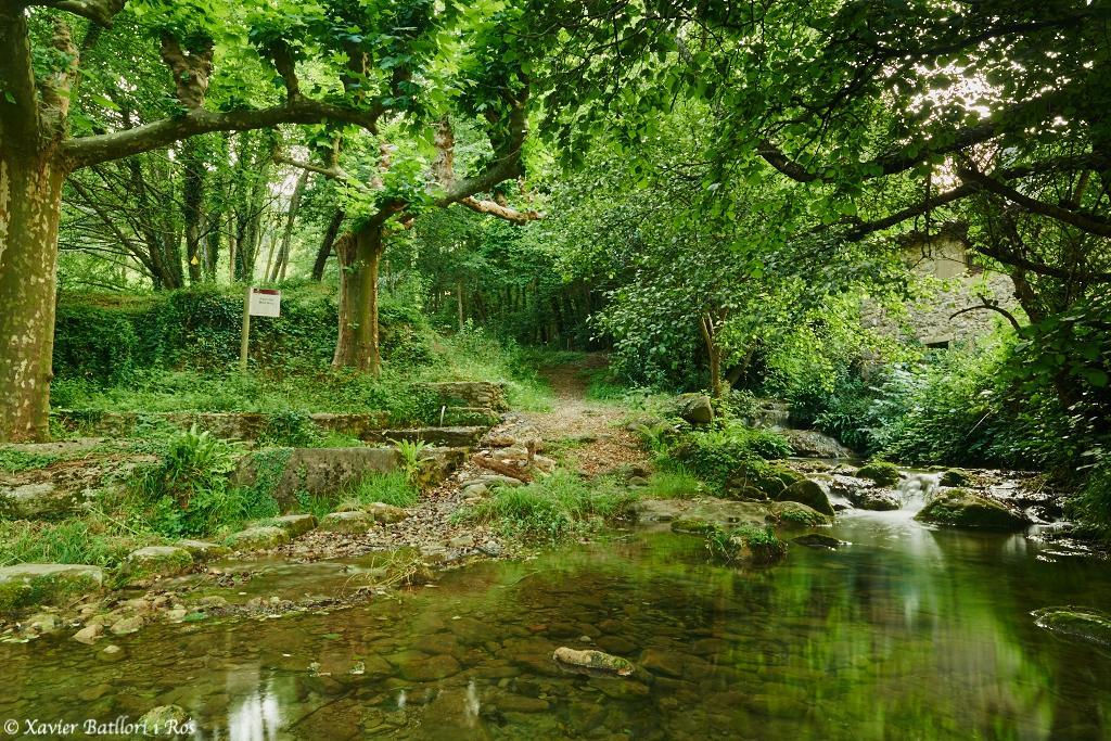 Apartamentos Fonda Finet Sant Felíu de Pallarols Esterno foto