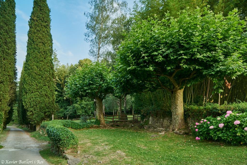 Apartamentos Fonda Finet Sant Felíu de Pallarols Esterno foto